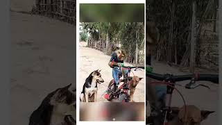 funny monkeys🤣🤣 #viral #reactionbyvicky #funnyshort #comedyshort #lol #hahaha #monkeys #dontlaught