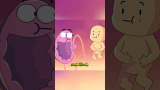 El Guardián del Vientre: El Bebé y su Placenta 📜👶🥦