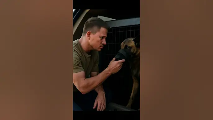 😳 تلك الأمنية الأخيرة التي حققها كلب وحيد #قصير