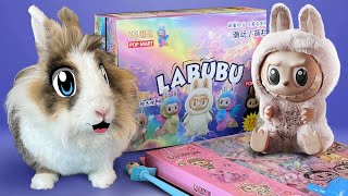 БОЛЬШАЯ распаковка ЛАБУБУ! СЕКРЕТНАЯ LABUBU? Back to school