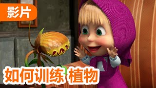 💥 最新集 💥 玛莎和熊 🐻👱‍♀️ 如何训练植物 🥀 99 集 🍪 Masha and the Bear 🐻👱‍♀️ 儿童动画片