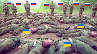 24 de Agosto ¡Zelensky Enfrenta la Derrota! Rusia Destruye un Batallón Ucraniano Entero