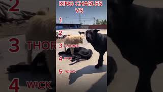KING CHARLES VS EVERYONE!!! 🐶👑