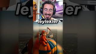 BEBEK UÇAKTAN DÜŞÜYOR!! 😧😫 #brainrot #italianbrainrot