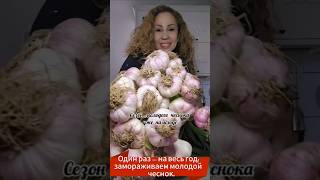 Сезон молодого чеснока на исходе! Не знаете, как заморозить? #кулинарныймастеркласс