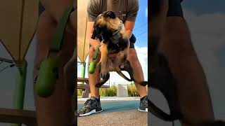 말리누아는 정말 다르죠 😂😂😂