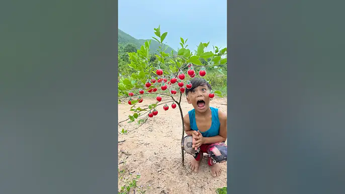 Wow! SMART idea and USEFUL with single mom #bushcraft #camping #outdoors #useful