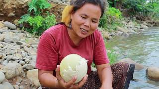 survival in the rainforest-women found 5 ostrich egg for cook -Eating delicious HD
