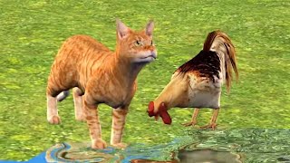 MACJA LE TE LAHET ♥️ - Kenge per femije - Swimming Cat, Song for children - Macoku Tv
