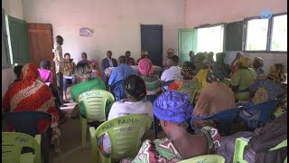 Évaluation à mi-parcours des activités des femmes d’Obo