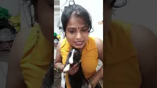 Aarti Official 52a is live