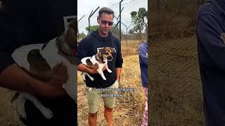 이게 정상이라고 생각해 보자 😂😂😂