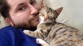 고양이는 100% 달콤함을 사용합니다 ❤️ 귀여운 고양이와 인간의 순간