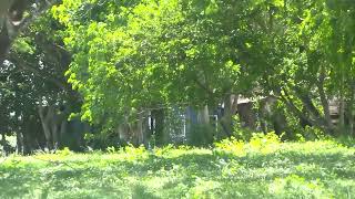 Eris Gavarette Arrested for Murder of Sister-in-Law