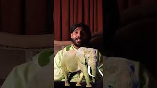 اطول 5 انياب بالعالم