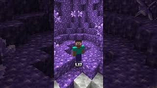 I FOUND OUT HOW STEVE GOT ELYTRA...