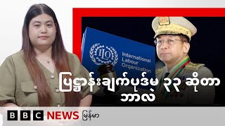 ပြဋ္ဌာန်းချက်ပုဒ်မ ၃၃ ဆိုတာဘာလဲ - BBC News မြန်မာ