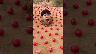 Survival Skills: SMART idea and USEFUL in forest #survival #bushcraft #camping #outdoors #useful