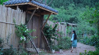 The life of cucumbers黄瓜的一生丨Liziqi Channel