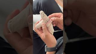 مسويلكم سحر