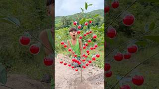 와! 똑똑한 아이디어인데 싱글맘에게 유용하네요 #부시크래프트 #캠핑 #야외 #유용함