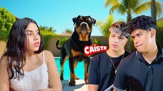 La Venganza de Caballo.. Dannah Cae En Su Trampa. CAP 7 - Un Amor Así