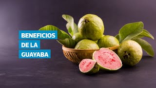 Beneficios de la hoja de guayaba y cómo prepararla en infusión
