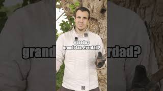 ¿Es POSIBLE DESENVAINAR una ESPADA desde la ESPALDA?