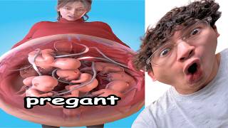 Zack D Films는 악몽을 선사해요 😭