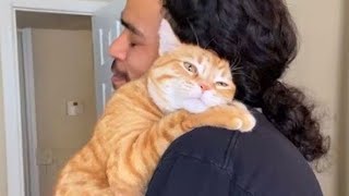 고양이가 남자에게 집착할 때 ❤️ 귀여운 고양이와 인간의 순간들