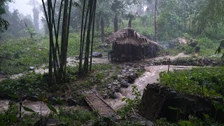 예측 불가능한 자연의 위험에 맞서다 | 오프그리드 라이프 | 에피소드 78
