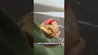 Может ли голова как лед?