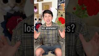 CÓMO LIGAN LOS ANIMALES? 😍