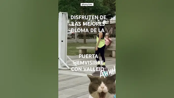 29 de diciembre de 2024