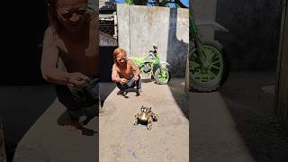 SALING REBUTAN MOTOR MINI TRAIL #videokocak #bigdudi #videoshorts