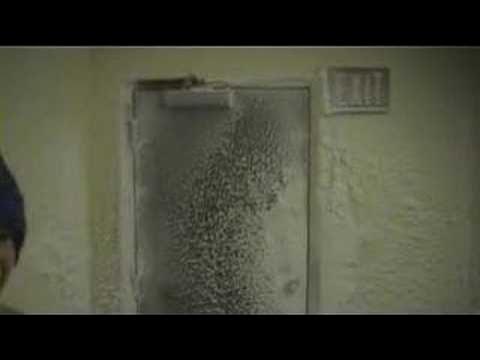 Antarctica Condition 1 Weather