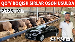 28 YOSHLI YIGITDAN QOY BOQISH SIRLARI | SODDA VA SAMARALI USUL