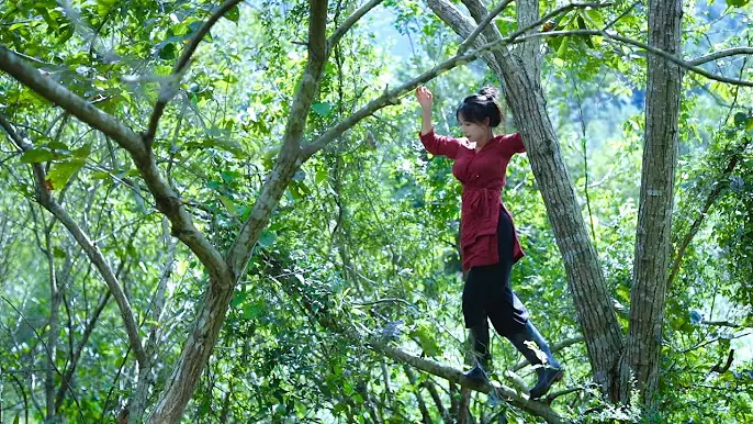 The life of purple rice, pumpkins, and … peanuts紫米南瓜的一生…，还有花生丨Liziqi Channel