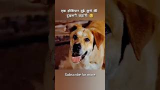एक होशियार बूढ़े कुत्ते की दर्दनाक कहानी 🥹 #shorts