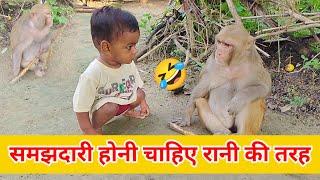 सबसे समझदार बंदर।। सबसे बुद्धिमान बंदर।। सबसे संस्कारी बंदरिया 🤣।। पूरे गांव की बंदरिया।। मंकी रानी 