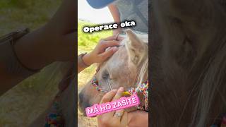 Z Fionky je ponykyklop 🥺❤️