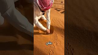 حفر 3 ساعات في الصحراء بحثًا عن كوبرا.. لن تصدق ماذا وجد! 😱🔥
