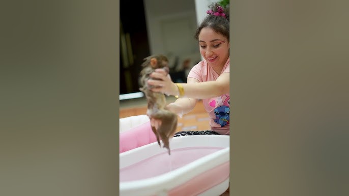 مين ماشاف لسى فلوق روتيني الصباحي مع لحيوانات 🤔