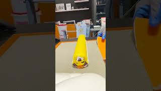 Cute Lion Image Candy 🦁🍭