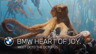 BMW Heart of Joy | Meet Okto the octopus.