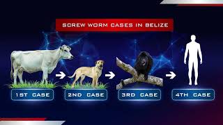 Pet Wounds Fuel Screwworm Outbreak, Humans Now at Risk
