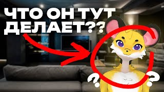 2 МАЯ УРА / ФУРРИ стрим