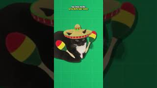 Weniger Maxwells oder Optimieren? 🤔