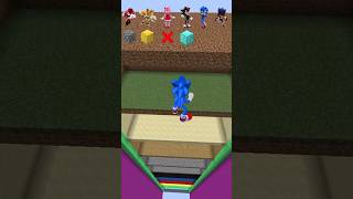 LAS CAIDAS MAS ALTAS DE LOS PERSONAJES DE SONIC LA PELICULA EN MINECRAFT #Shorts #Cortos