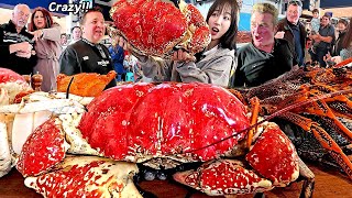 시드니1탄)말도안되는 크기..킹크랩 16kg 300만원치 먹방에 모두가 구경왔어요🤣 호주 수산시장